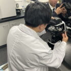 【理科】ウニの発生を観察する授業を行いました